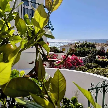 Apartment Lemon Tree *